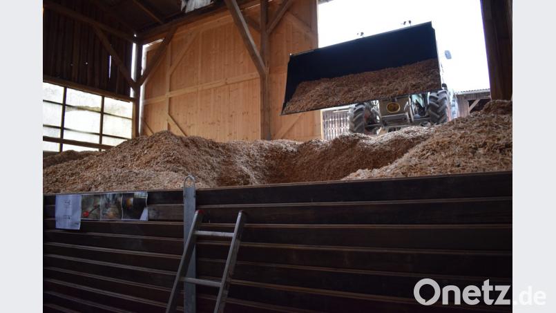 Rund 60 Kubikmeter fasst der Hackgutbunker für die zentrale Heizungsanlage. Nach ersten Schätzungen werden 400 Kubikmeter im Jahr benötigt. Bild: bnr