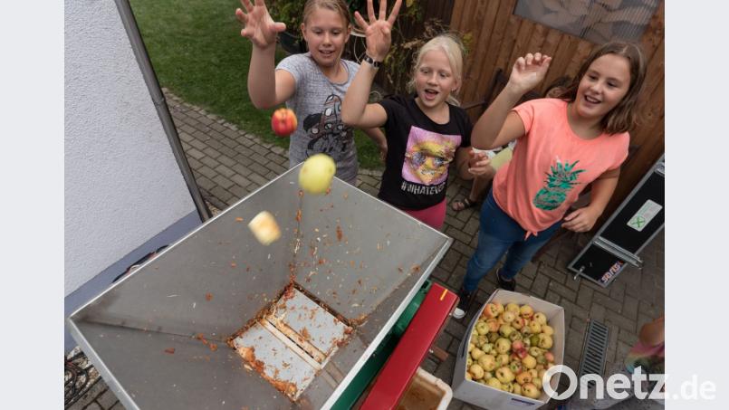 Apfelfest beim OGV Plößberg Bild: dtr