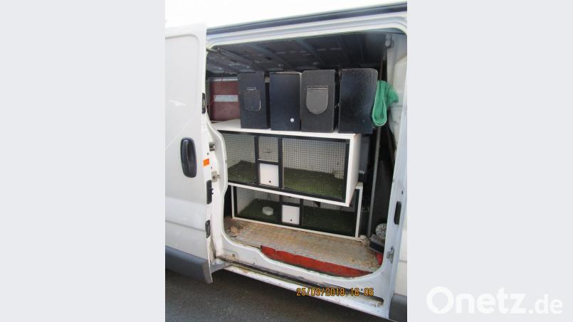 Auf der Ladefläche eines Kastenwagens entdeckten die Fahnder 66 Vögel. Bild: Grenzpolizei Selb