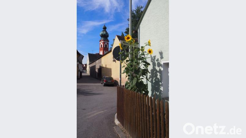 Trotz des kleinen Vorgartens gedeihen die Sonnenblumen des ehemaligen Mesnerehepaars prächtig und erfreuen die Menschen. Bild: gz