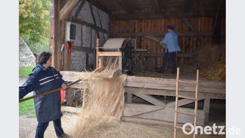 Der Stiftendrescher war eine große Arbeitserleichterung. Mit seiner Einführung konnten auch Frauen die Arbeit übernehmen. Bild: bnr