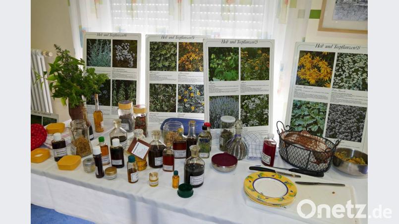 Zum Vortrag gibt es allerhand Anschauungsmaterial zu Kräutern und anderen Lebensmitteln, die günstig auf die Gesundheit wirken. Bild: wbe