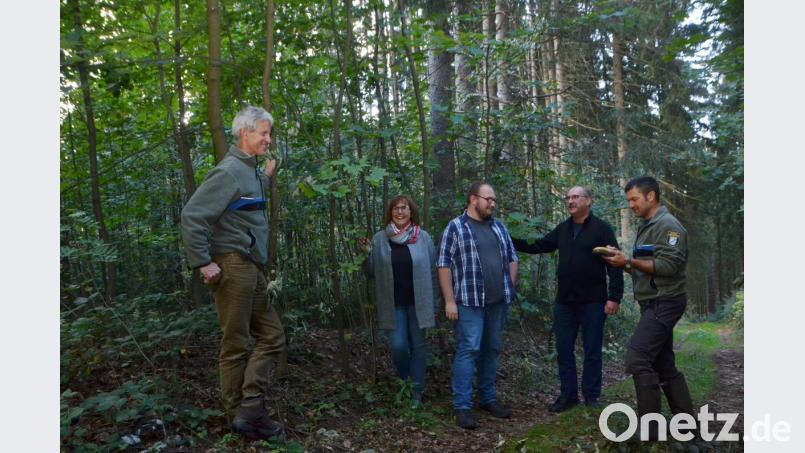 Beate Renger (Zweite von links), mit Ehemann Dietmar und Sohn Julian (Zweiter und Dritter von rechts), ist stolze Besitzerin eines Waldareals im Michlbachtal, in dem sich der Bewuchs durch Naturverjüngung erneuert hat. Über den Anblick freuen sich Forstdirektor Gerhard Hösl (links) und der Vohenstraußer Revierleiter, Forstamtmann Stefan Stangl (rechts). Bild: dob