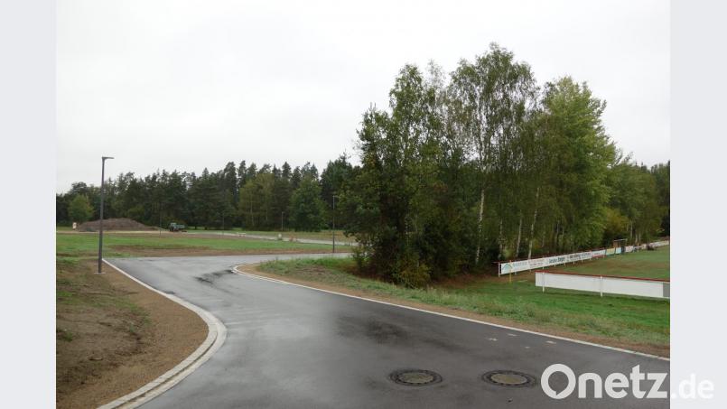 Entlang des Waldrands (im Hintergrund) beim Baugebiet &quot;Pfrentsch II&quot; soll eine Streuobstwiese entstehen. Bild: fjo