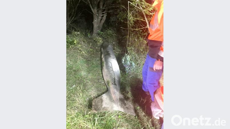 Etwa drei Meter lang und einen Zentner schwer war der Zusatztank, den ein Flugzeug irgendwann in den Weiher hatte fallen lassen. Bild: Polizei