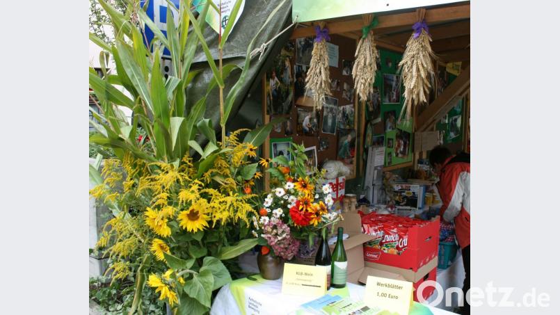Auch an diesem Stand der KLJB wird die Natur gefeiert. Bild: Rainer Christoph
