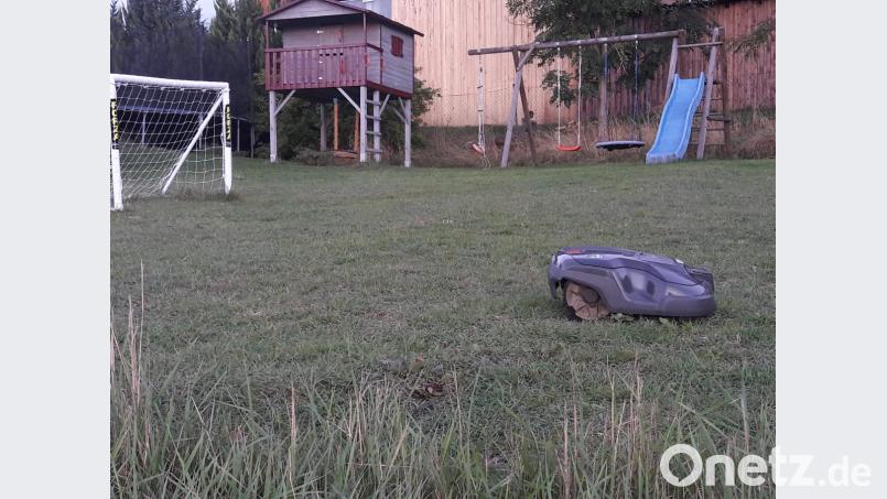 „Robbie“ in seinem Element: Der Mähroboter hat viel zu tun, verrichtet seine Arbeit aber nahezu perfekt. Das rund 700 Quadratmeter große Areal ist kein Problem für ihn. Bild: puh