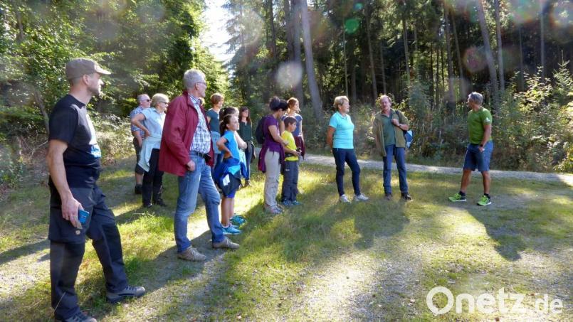 Revierleiter Wolfgang Schödel (Zweiter von rechts) zeigt im Witzlasreuther Wald, warum der Klimawandel den Umbau in einen Mischwald erforderlich macht. Bild: exb