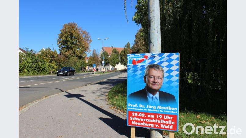 Wer in Neunburg nach diesem Plakat rechts abbiegt, ist bei der AfD in der Schwarzachtalhalle angekommen - oder bei der Kundgebung auf dem Vorplatz, die auf die rechte Position der Partei aufmerksam machen will. Bild: pko