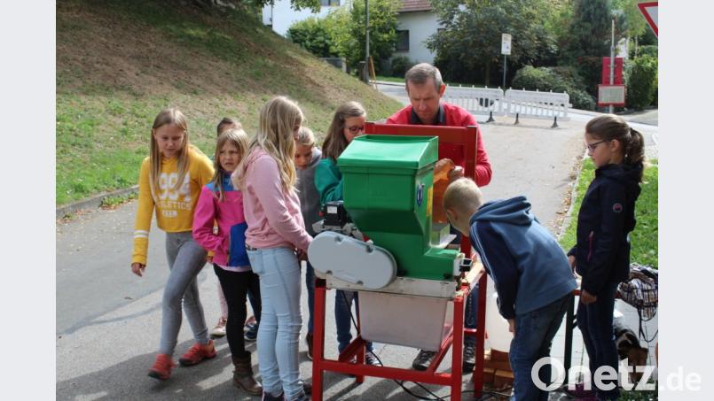 Hinein mit den Äpfeln. Der Obst- und Gartenbauverein zeigte den Kindern, wie frischer Saft gepresst wird. Bild: exb