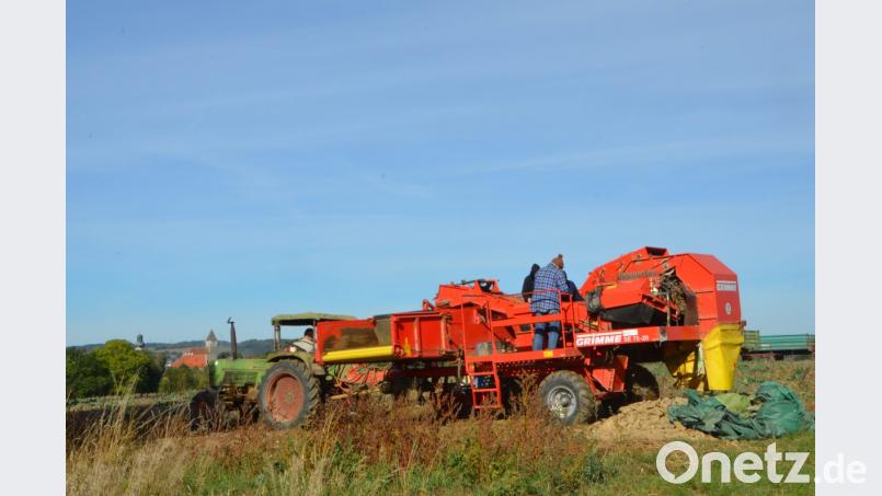 Für den wunderschönen Ausblick nach Waldau hat Kartoffelbauer Roman Rupprecht während der Arbeit nicht sonderlich viel übrig. Sein Blick gilt seinen Kartoffeln, die er für die Vermehrung erntet. Bild: dob