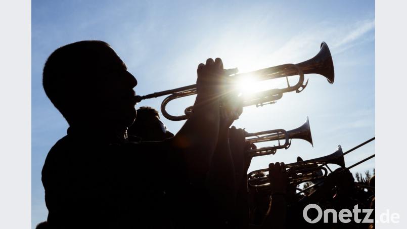 Eine Gruppe Musiker spielt bei strahlendem Sonnenschein im Mauerpark Trompete und Posaunen. Foto: Gregor Fischer/Archiv Bild: agentur_dpa