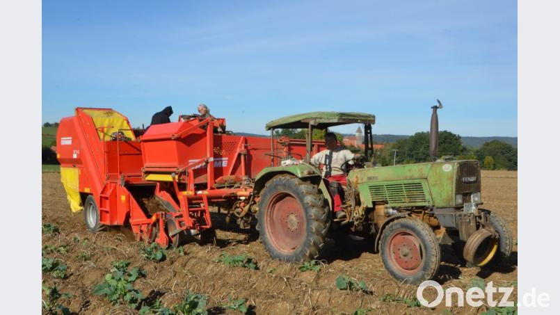 Roman Rupprecht ist derzeit noch damit beschäftigt, die Kartoffeln für die Vermehrung zu ernten. Bild: dob
