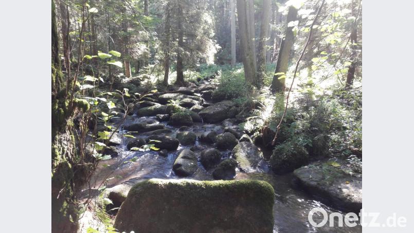 Herbstsonne im Lerautal. Bild: dob