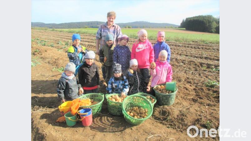 Kinder bei der Kartoffelernte mit Bäuerin Sigrid Gebert. Bild: tu