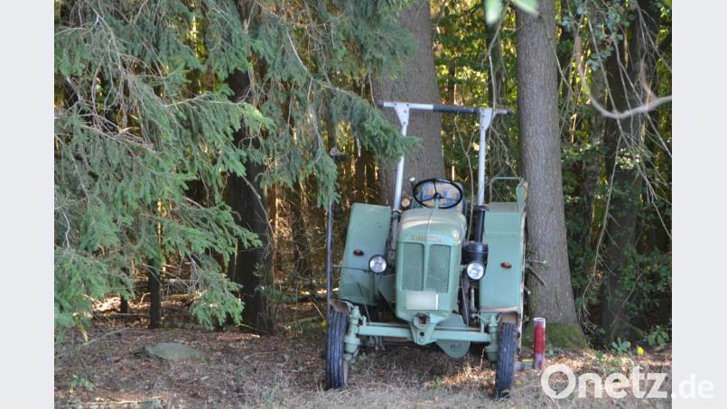 Zwei Bäume stoppten den Oldtimerbulldog her. Bild: dob