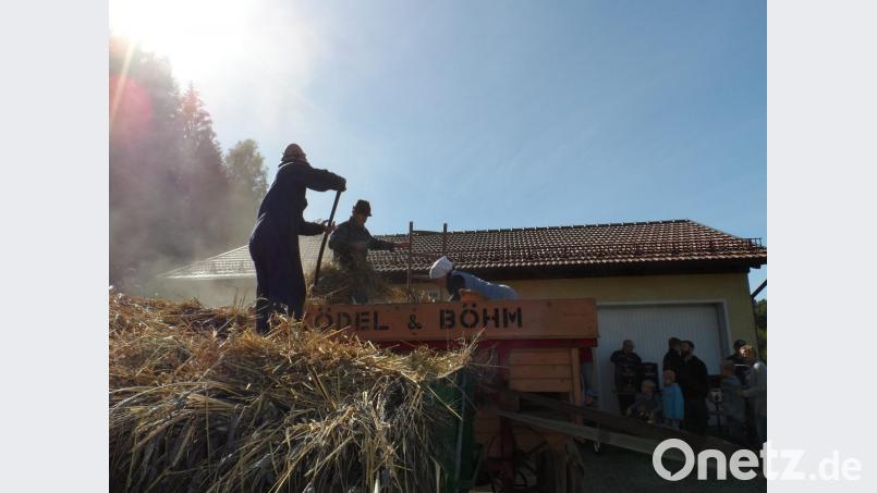 In Mittelreinbach wurde mit einem alten Dreschkasten
wie in alten Zeiten Getreide gedroschen. Bild: exb