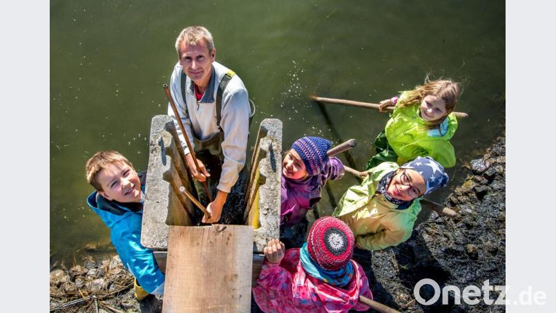 Die Kinder unterstützen den Bewirtschafter der Langwiedweiher, Alfons Scheck beim Ablassen und Abfischen des Weihers Bild: arr