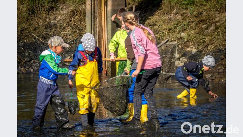 Spaß und Interesse an der Natur beim Abfischen bei den Langwiedweihern nahe Nabburg Bild: arr