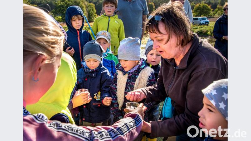 Jugendleitern Regina Baumann erklärt den wissbegierigen Kindern die Artenvielfalt im Ökogebiet der Langwiedweiher. Bild: arr