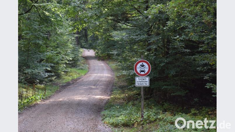 Ab Oktober werden im westlichen Teil des Eixlberges Forstarbeiten durchgeführt.Der Beschilderung und den Absperrungen ist unbedingt Folge zu leisten. Bild: bnr