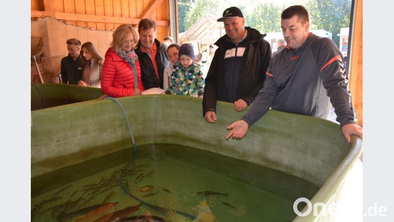 Lebende Fische können in großen Behältern beobachtet werden. Bild: jr