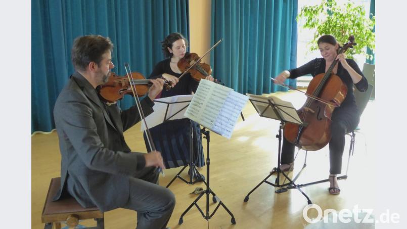 Das Nimrod-Trio überzeugt bei den Max-Reger-Tagen. Bild: fsb