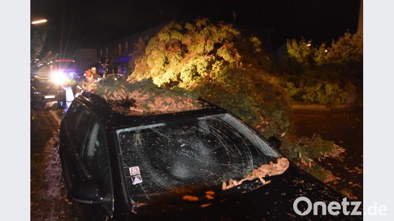 Besonders Autobesitzer klagen über Schäden an ihren Wagen durch herumwirbelnde Äste, Plakate, Trampoline, Bauzäune oder eben durch herabfallende Bäume. Bild: shl