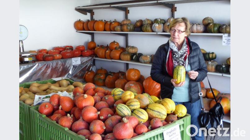 Die Kürbisse in allen Variationen kommen bei den Gästen gut an. Bild: fsb