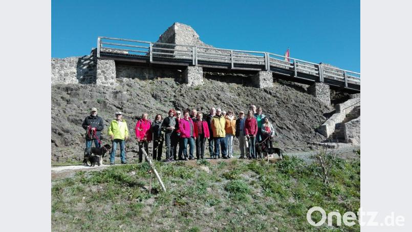 Mit Kind, Kegel und Hunden wandern die SPD-Mitglieder zur Burgruine auf dem Schlossberg hinauf. Bild: den
