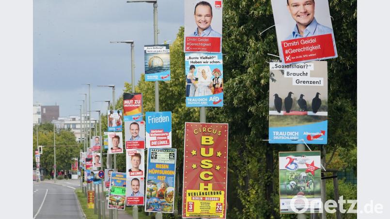 Wahlplakate für die Bundestagswahl 2017 hängen in Berlin Mahrzahn an den Laternenpfählen. Bild: Wolfgang Kumm/dpa