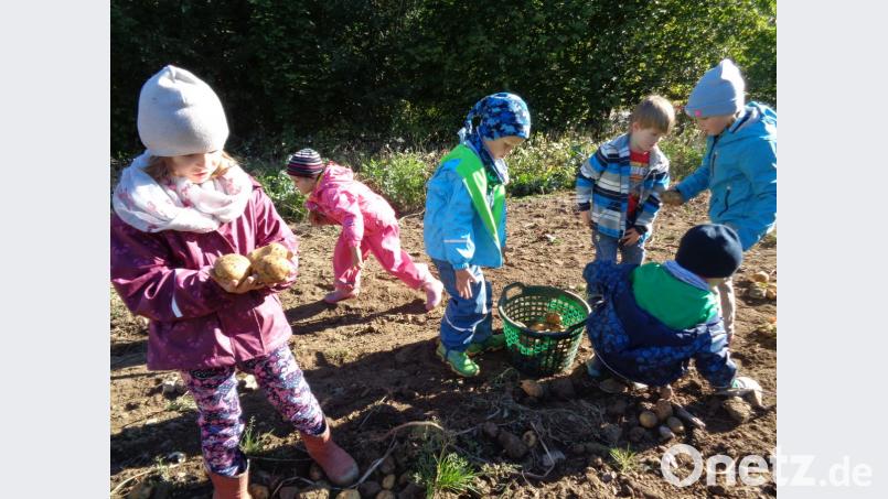 Wenn alle zusammenhelfen, geht die Arbeit wie im Flug von der hand. t Bild: twg