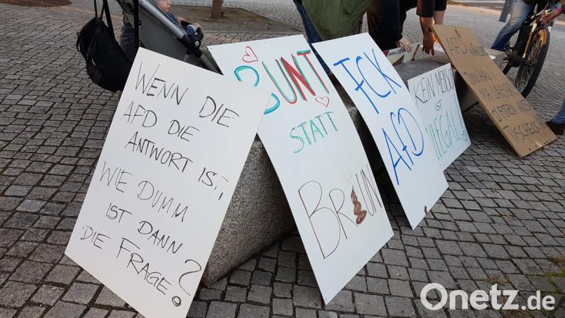 Die Kundgebungs-Teilnehmer hatten etliche Plakate dabei. Bild: Christopher Dotzler