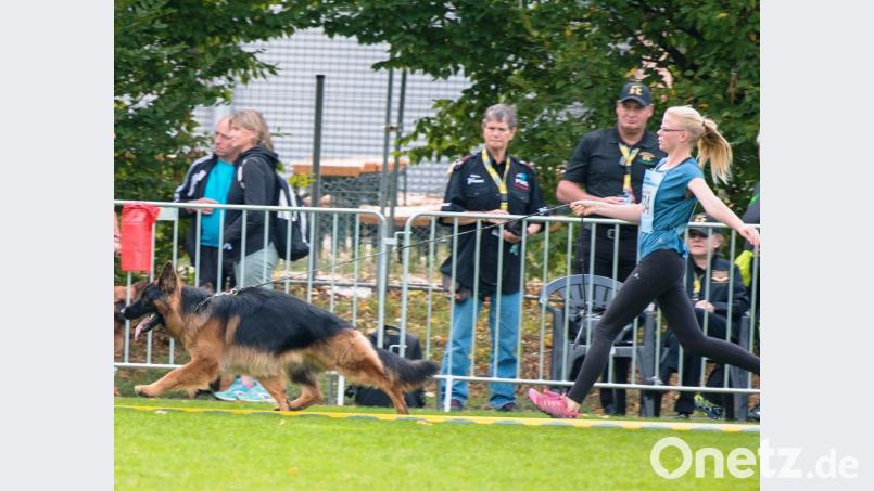Christin Kammertöns mit Vatino vom Gebenbacher Land, ebenfalls im Ring bei der Bundessiegerzuchtschau in Nürnberg Bild: pm