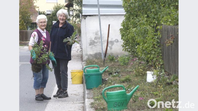 Fleißige Helfer des Gartenbau- und Ortsverschönerungsvereins Fronberg übernehmen die Pflege der öffentlichen Grünflächen. Bild: Hirsch