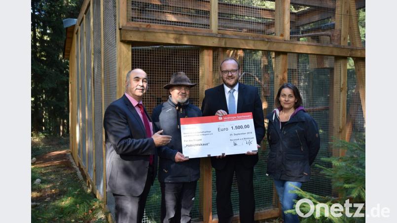 1500 Euro kommen dem Projekt zur Wiedereinbürgerung des Habichtskauzes in Nordbayern zugute. Von links: Vorstandsvorsitzender Josef Pflaum, VLAB-Vorsitzender Johannes Bradtka, Landrat Andreas Meier und Michaela Domeyer vom VLAB. Bild: exb