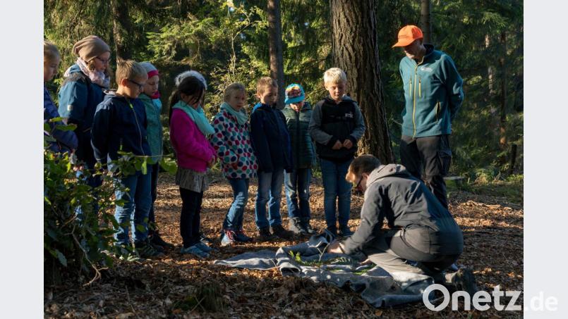 Werner Schmidt, Revierleiter bei den Bayerischen Staatsforsten, und Praktikant Lukas Dörfel spielen bei der Eröffnung des „Grünen Klassenzimmers“ Wald-Memory mit Schülern der Grundschule Bischofsgrün. Bild: exb
