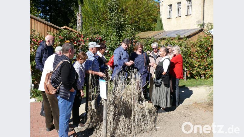 Der Führung mit Hildegard-Expertin Johanna Eisner schlossen sich viele Besucher an. Bild: kgg