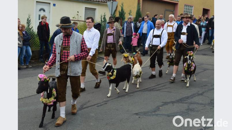 Festlich geschmückt werden die Ziegen beim Alm-Abtrieb am Sonntag vom Kleinen Kulm zum Marktplatz gebracht. Bild: ww