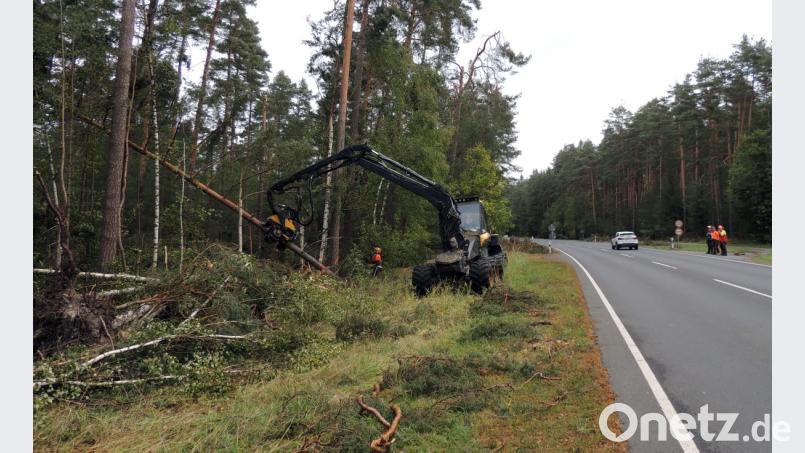 Harvester und Holzfäller machten sich entlang der B 299 ans Aufräumen nach dem Sturmtief Fabienne. Kurzzeitig musste die Bundestraße auch gesperrt werden. Bild: mor