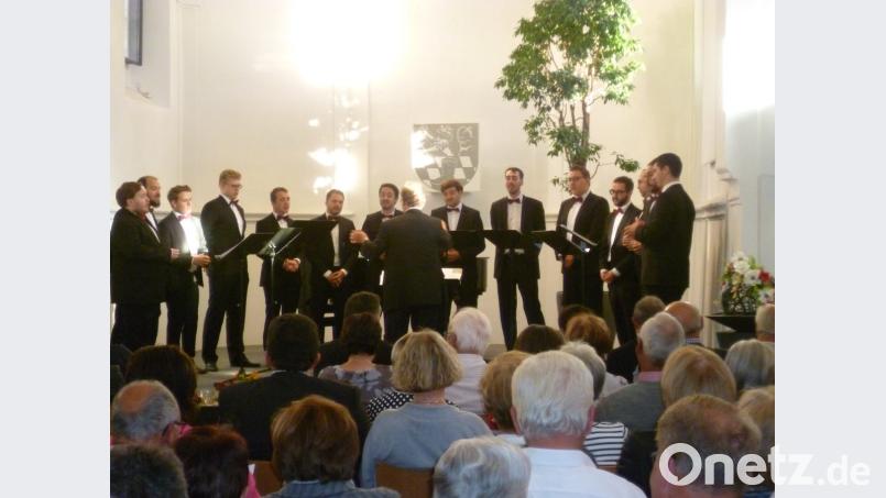 Zum 100-jährigen Bestehen des Freistaates begeisterte das „Renner Ensemble Regensburg“ das Publikum in der Spitalkirche. Bild: tie