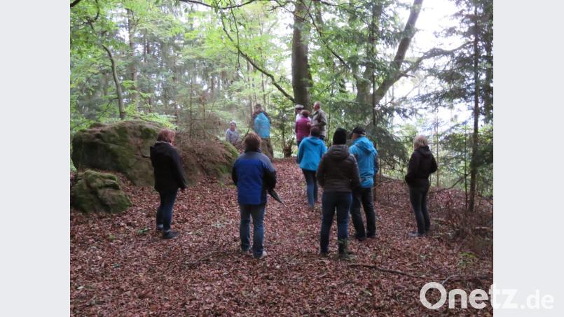 Am sogenannten "Kanapee" angekommen, erkundeten die Wanderer die außergewöhnliche Felsenlandschaft. Dazu bekamen sie interessante Informationen zur Historie geliefert. Bild: mnt