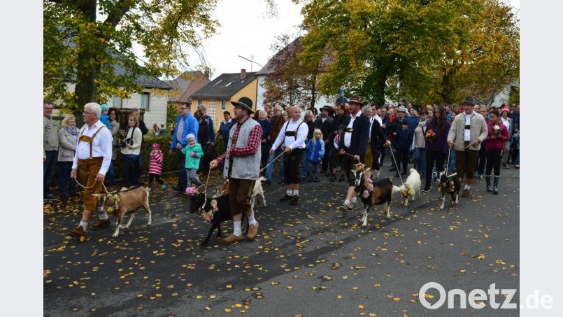 Festlich geschmückt werden die Ziegen beim Alm-Abtrieb am Sonntag vom Kleinen Kulm zum Marktplatz gebracht. Bild: ww