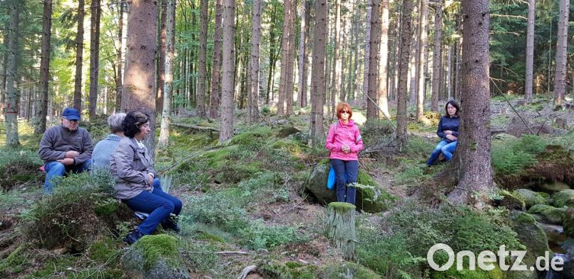 Moosbewachsene Steine bieten beim „Waldbaden“ Gelegenheit, sich sitzend in die Meditation zu vertiefen. Bild: exb