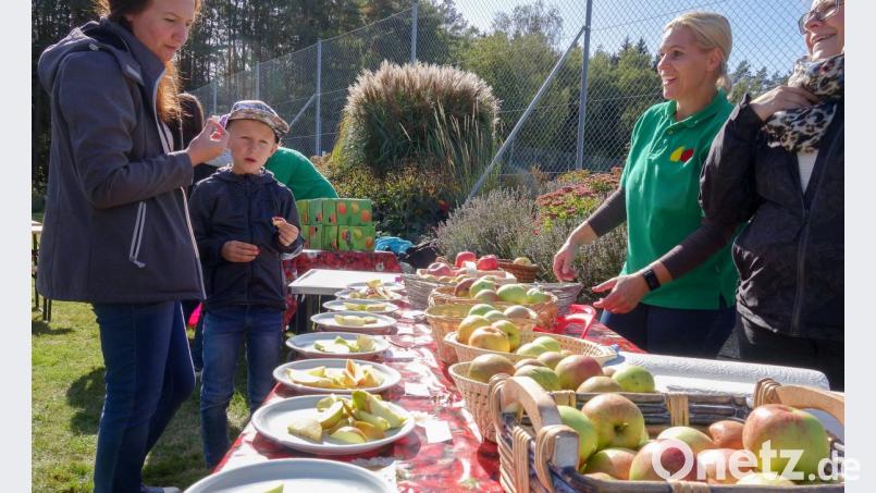 Welcher Apfel schmeckt am besten ? Die verschiedenen Sorten gibt es zum Probieren beim Apfelfest des Obst- und Gartenbauvereins. Die heimischen Äpfel schmecken den Besuchern dabei besser als Äpfel aus dem Supermarkt. Bild: mez
