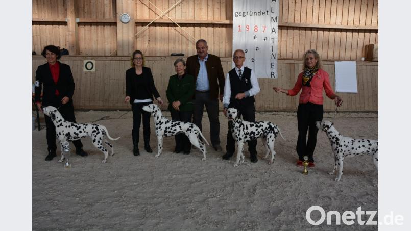 Die erfolgreichsten Züchter mit ihren prämierten Dalmatinern sowie Richterin Gisela
Schicker (Dritte von links) und Leonbergs Bürgermeister Johann Burger (Mitte). Bild: jr