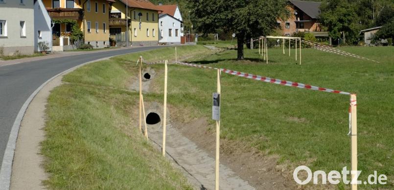 Die Schutzlinie zieht sich (Blickrichtung von Norden nach Süden) entlang der Ortsdurchfahrt Brensdorf.
Im Hintergrund ist die Auspflockung des Deichquerschnittes mit einer Bauwerkshöhe von 2,26 bis 2,49 Meter zu sehen. Im Vordergrund ist ein Mauerabschnitt in der Höhe 2,25 bis 2,49 Meter simuliert. Bild: ohr
