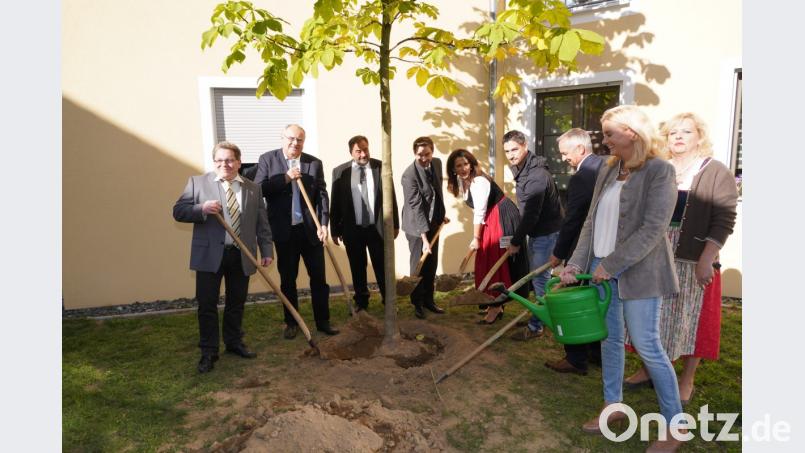 Im Hof des Waldthurner Gesundheitszentrums pflanzt die Ministerinzusammen mit viel Prominenz aus der Region eine Rosskastanie. Bild: fvo