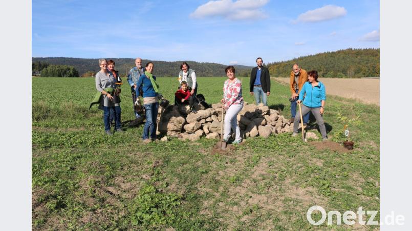 Einsatz für die Artenvielfalt: Mitglieder von Bündnis 90/Die Grünen, von links Heidrun Schelzke-Deubzer , Monika Mertl, Markus Möllmann, Katharina Hage, Lisa Rauh, Anna Toman, Josef Schmidt, Stephan Gleißner und Gisela Sengl, errichten an einem Feldrain in Friedenfels einen Steinhaufen und pflanzen zahlreiche Sträucher, darunter Holunder und Wildrosen. Bild: bsc