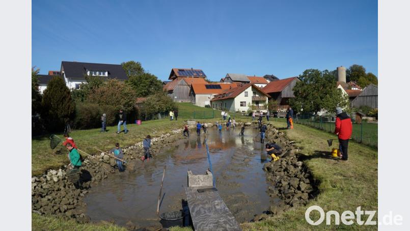 Zahlreiche Kinder halfen beim Abfischen des Feuerwehrweihers in Thanstein mit. Bild: rkp